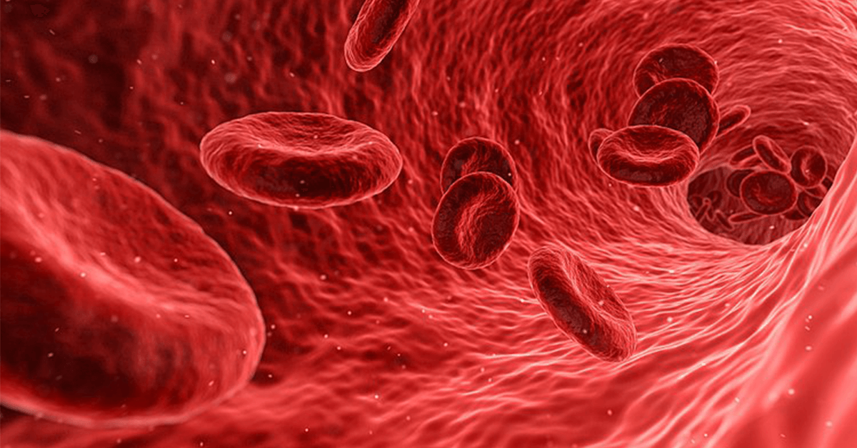 紅光治療能促進血液循環